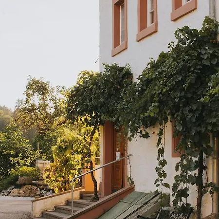 Und Weingut Karlsmuehle Отель Mertesdorf