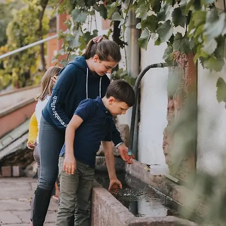 Und Weingut Karlsmuehle Mertesdorf