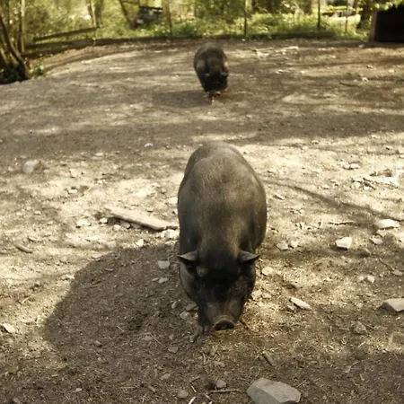 Und Weingut Karlsmuehle 3* Mertesdorf