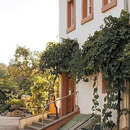 Und Weingut Karlsmuehle מלון Mertesdorf