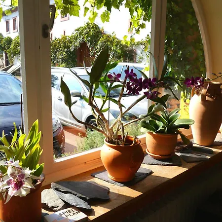 Hotel Und Weingut Karlsmühle 3*