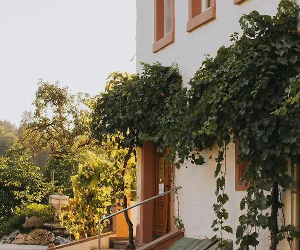 Und Weingut Karlsmuehle מלון Mertesdorf