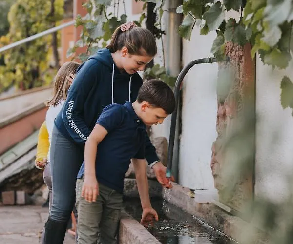 Und Weingut Karlsmuehle Mertesdorf
