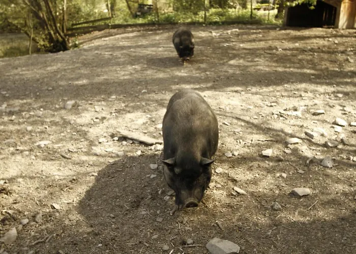 Und Weingut Karlsmuehle 3* Mertesdorf
