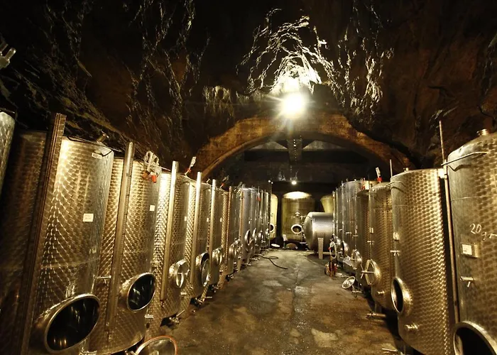 Hotel Und Weingut Karlsmühle 3*