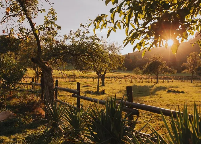 Und Weingut Karlsmuehle Hotel 3*