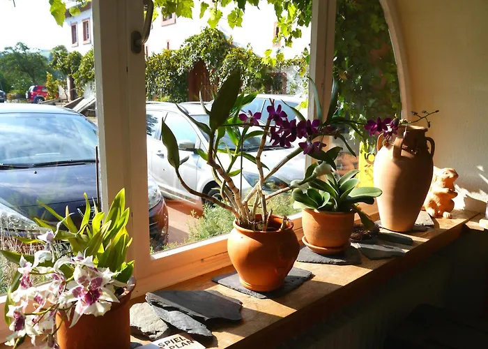Hotel Und Weingut Karlsmühle 3*